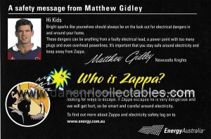 2003 energy australia newcastle card (2)